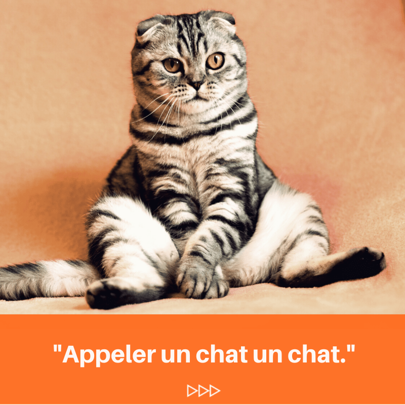 expression faut appeler un chat un chat