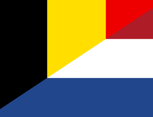 Difficultés en néerlandais : Pourquoi est-ce dur pour les francophones ?