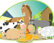 Quiz ludique sur les expressions idiomatiques animales en français